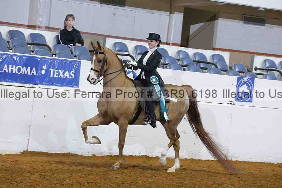 Proof 13r9_6198