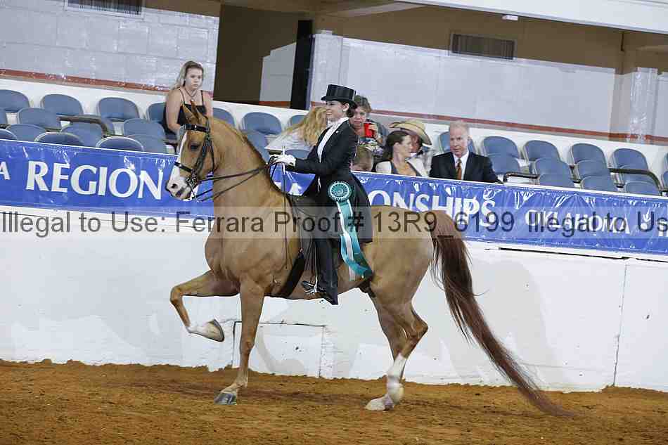 Proof 13r9_6199