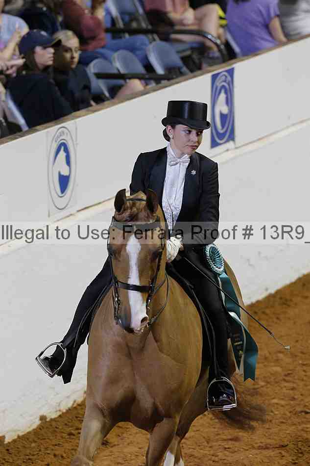 Proof 13r9_6202