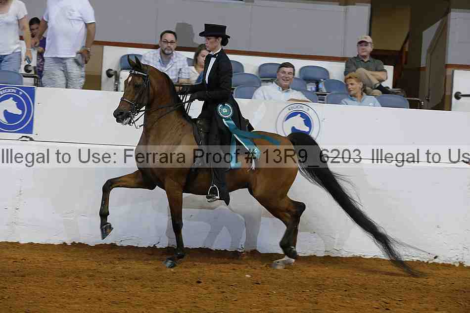 Proof 13r9_6203