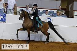 13r9_6203 proof