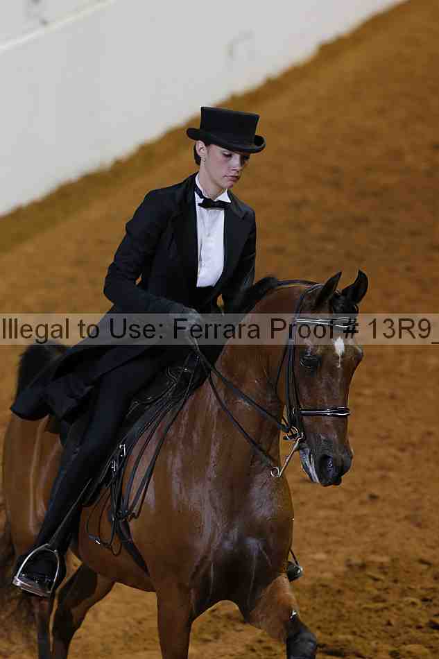 Proof 13r9_6206