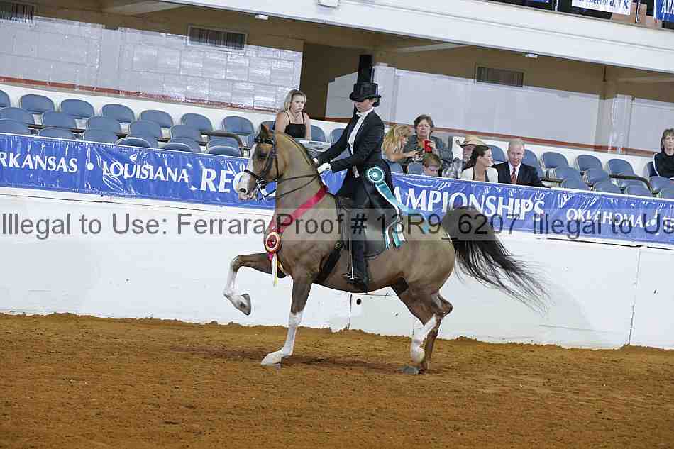 Proof 13r9_6207