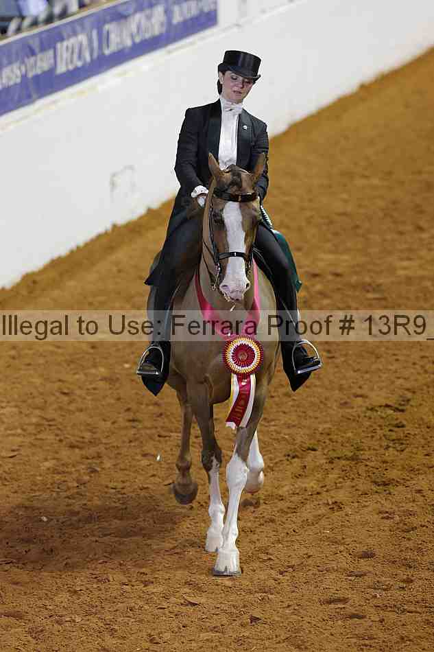 Proof 13r9_6208
