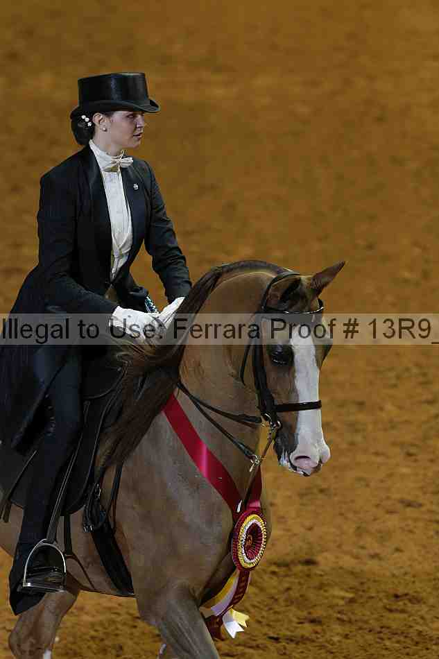 Proof 13r9_6209