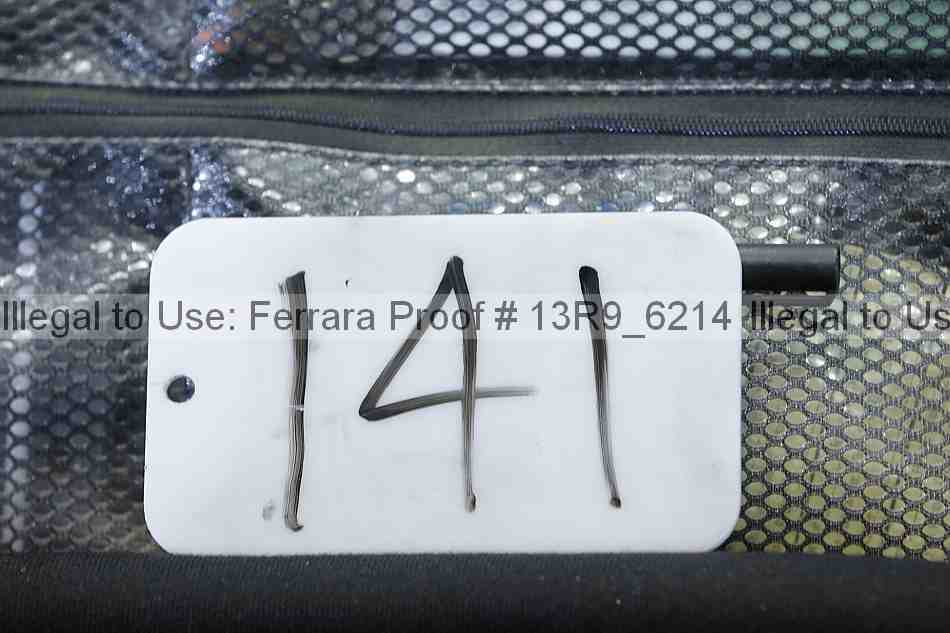 Proof 13r9_6214