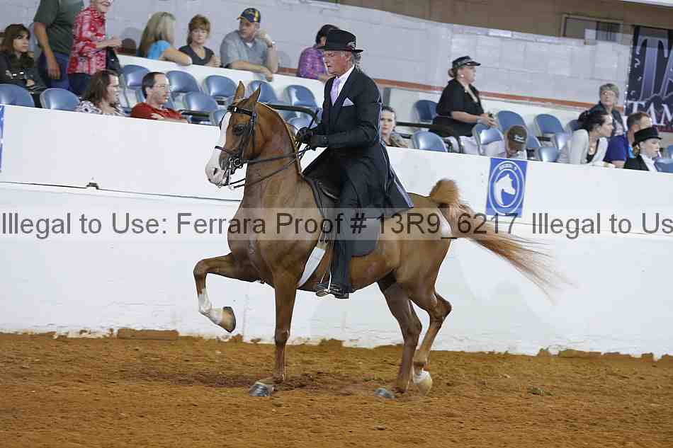 Proof 13r9_6217