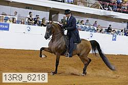 13r9_6218 proof