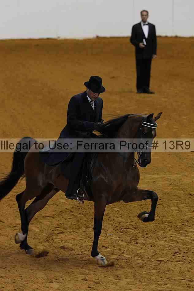 Proof 13r9_6219