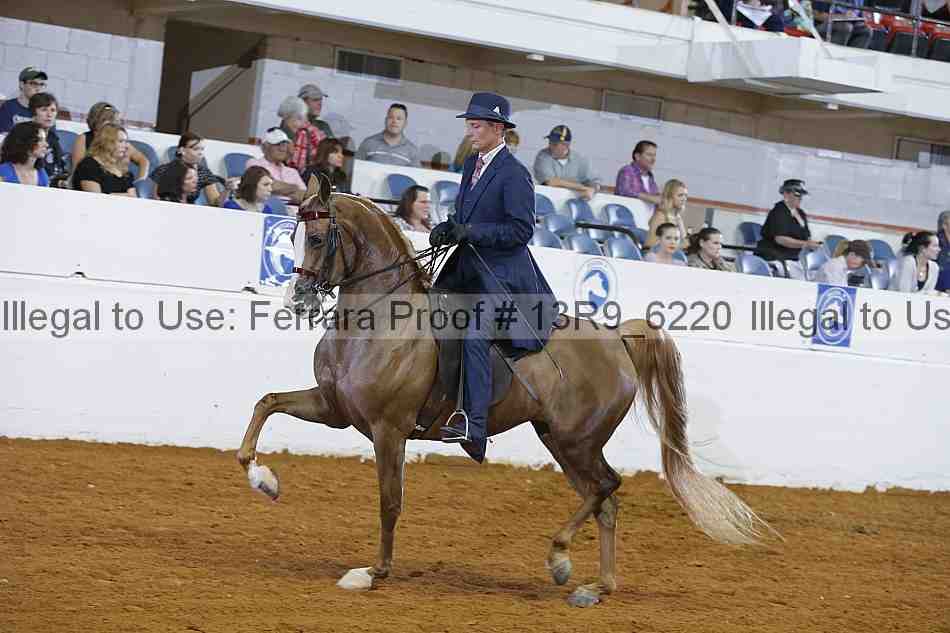 Proof 13r9_6220