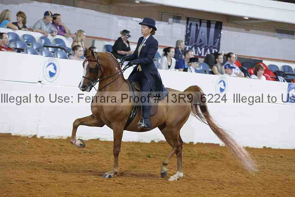 Proof 13r9_6224
