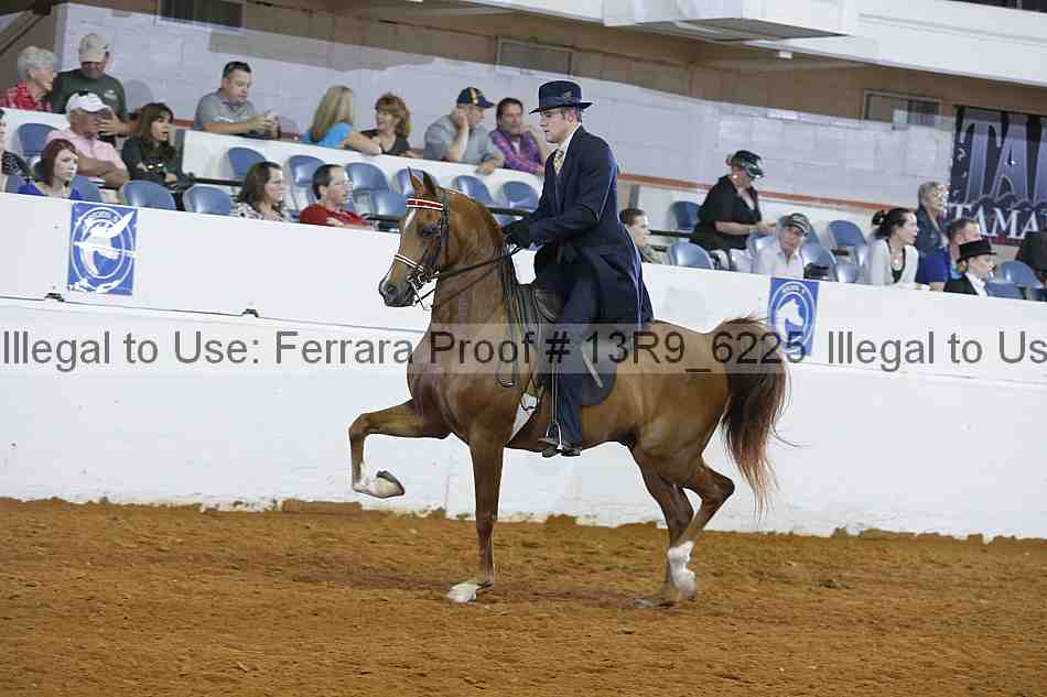 Proof 13r9_6225