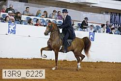 13r9_6225 proof