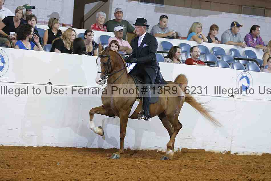 Proof 13r9_6231