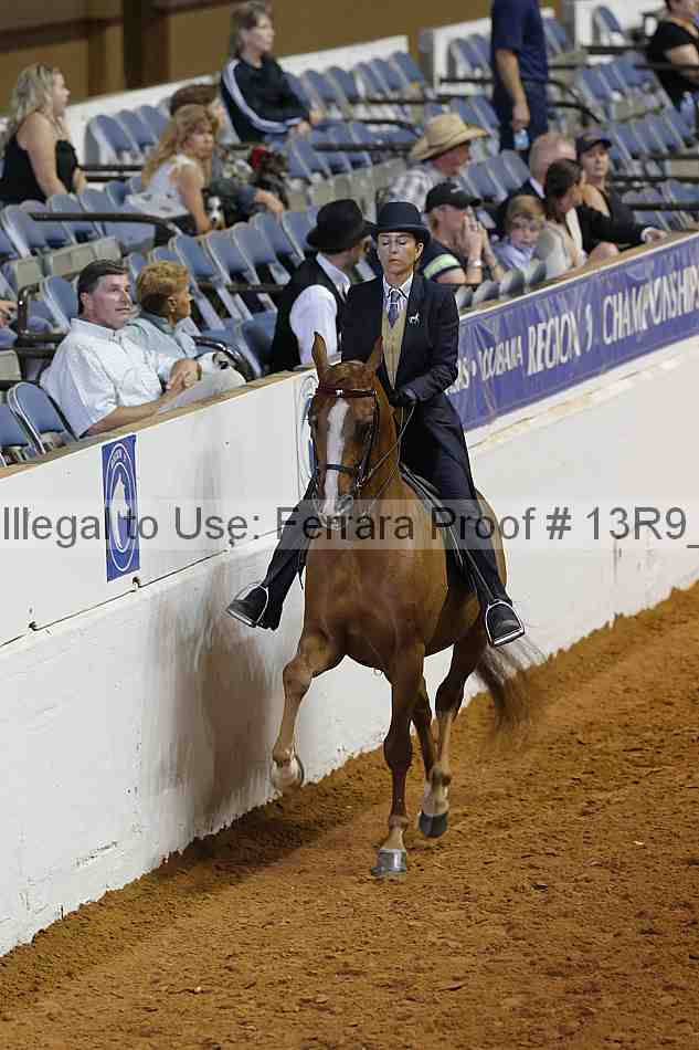Proof 13r9_6237
