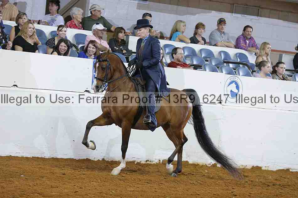 Proof 13r9_6247