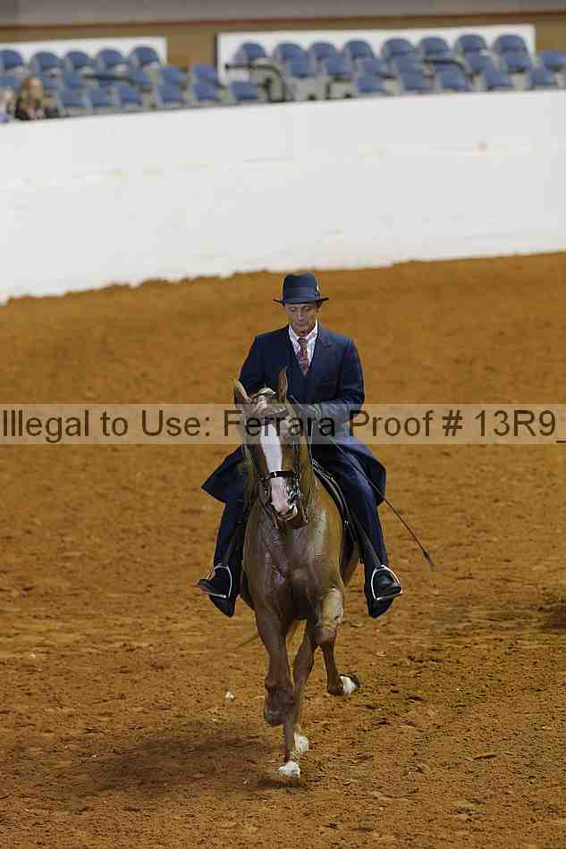 Proof 13r9_6251