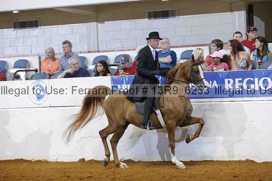 Proof 13r9_6253