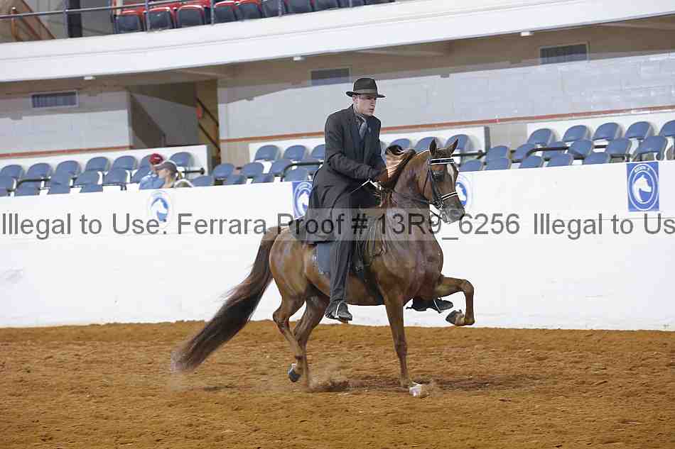 Proof 13r9_6256