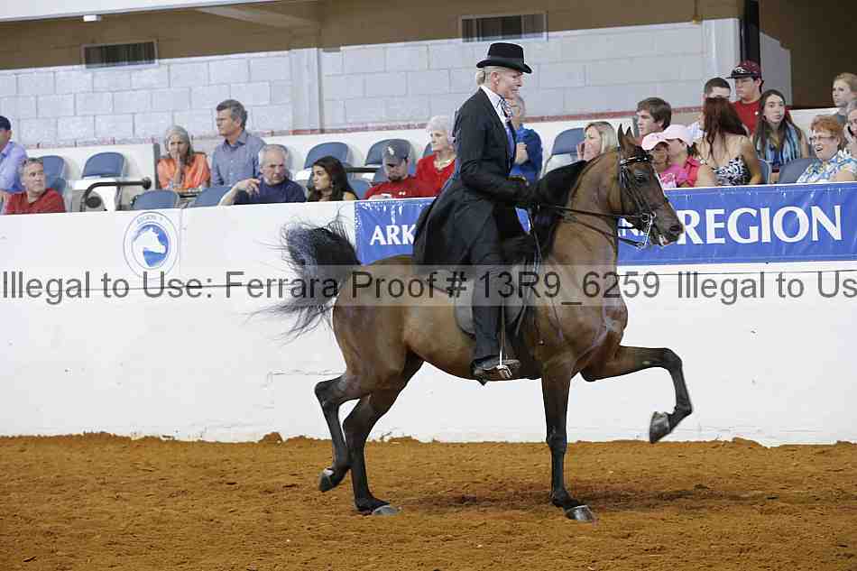 Proof 13r9_6259