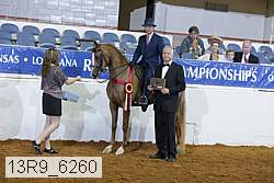 13r9_6260 proof