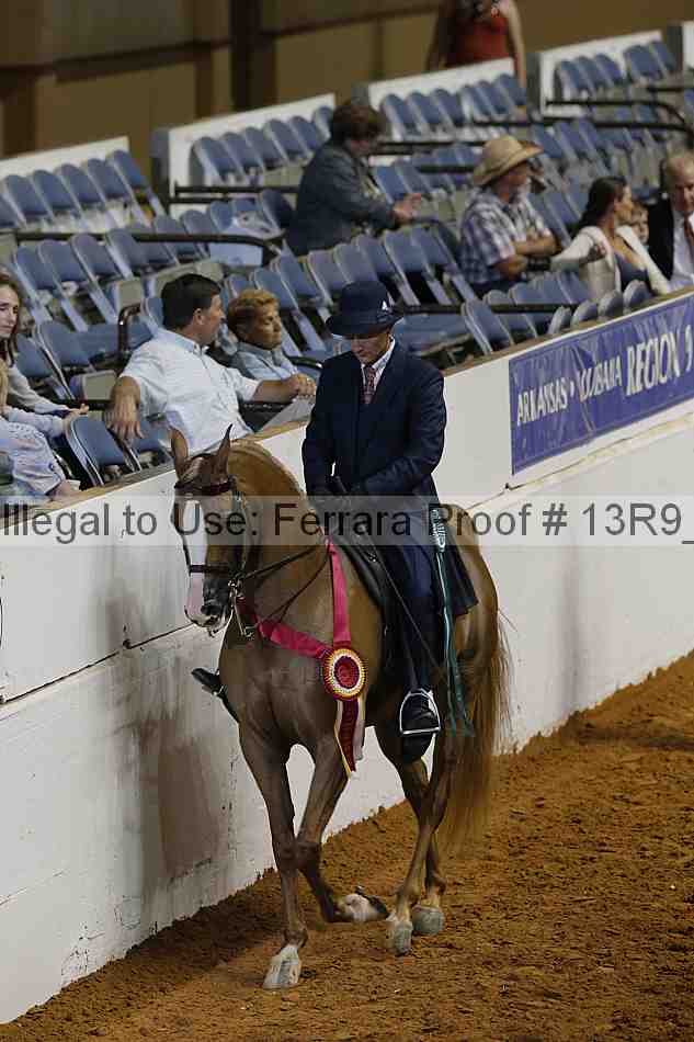 Proof 13r9_6262