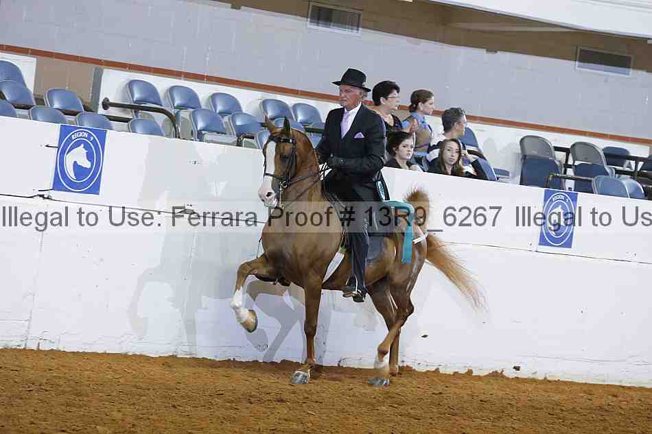 Proof 13r9_6267