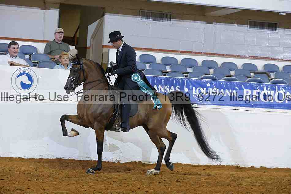 Proof 13r9_6272