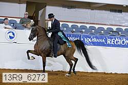13r9_6272 proof