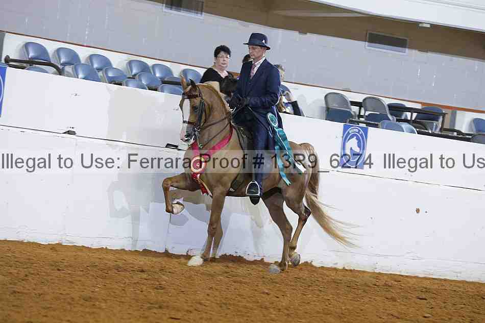 Proof 13r9_6274