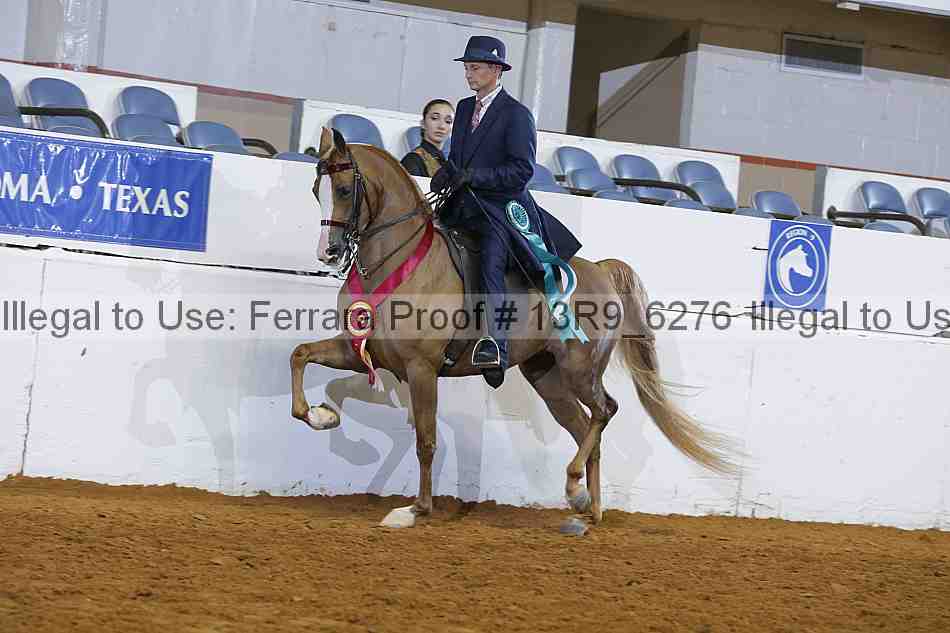 Proof 13r9_6276
