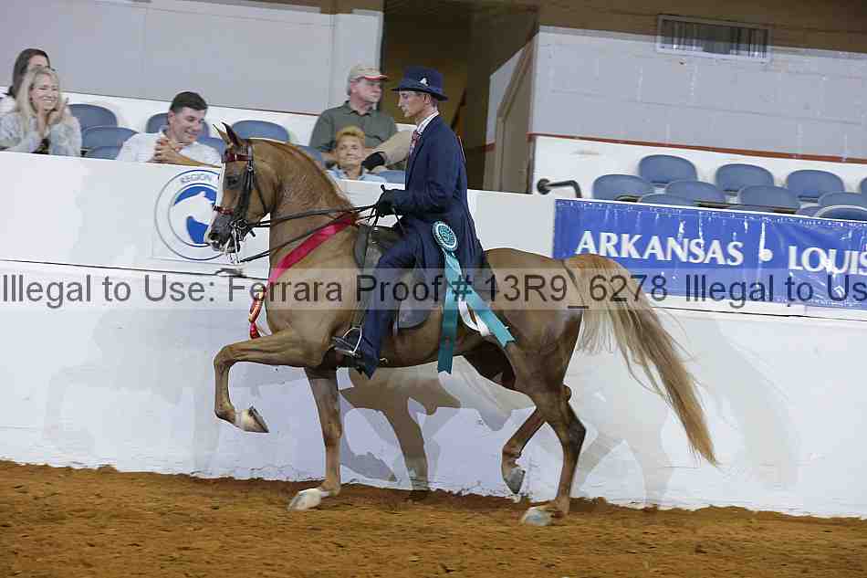 Proof 13r9_6278