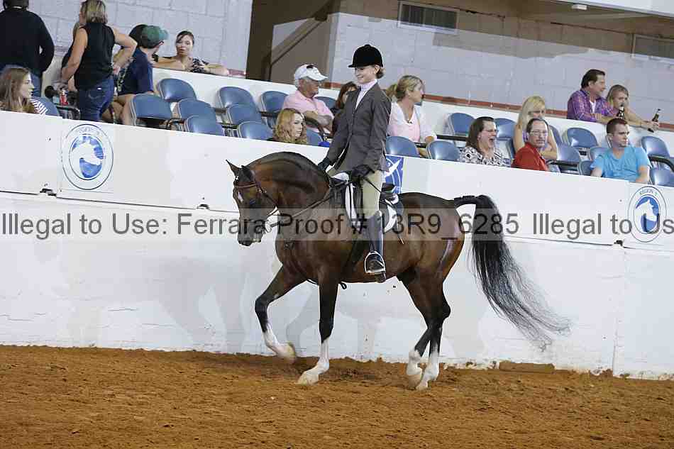 Proof 13r9_6285