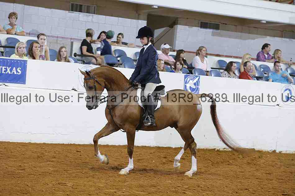 Proof 13r9_6289