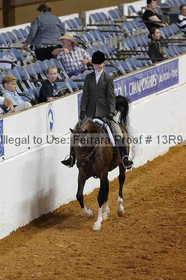Proof 13r9_6290