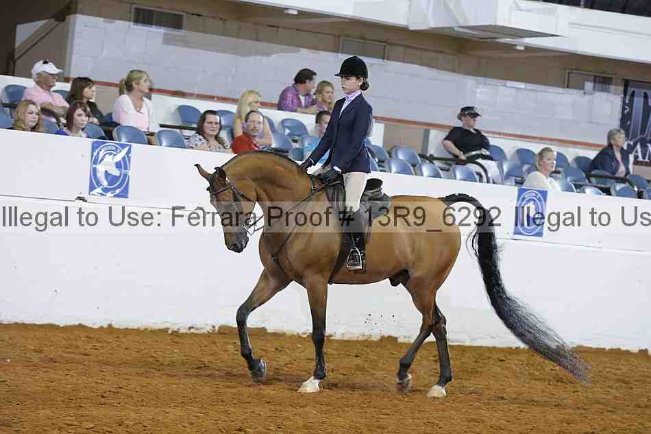 Proof 13r9_6292