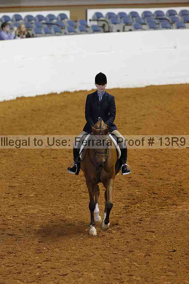 Proof 13r9_6294