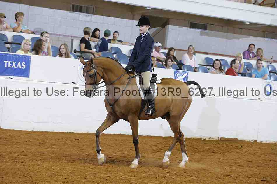 Proof 13r9_6297