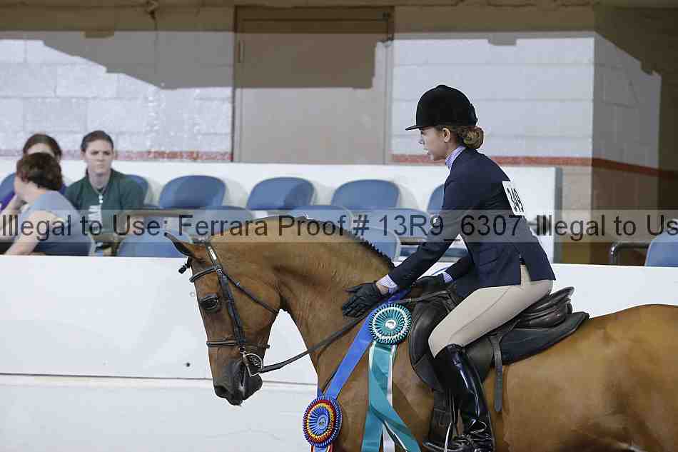 Proof 13r9_6307