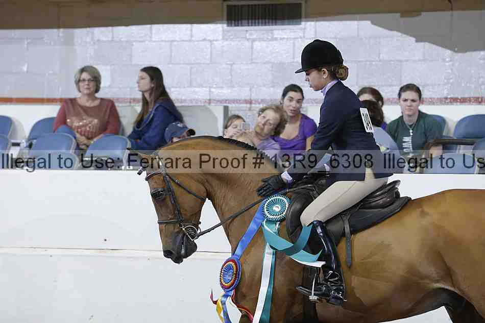 Proof 13r9_6308