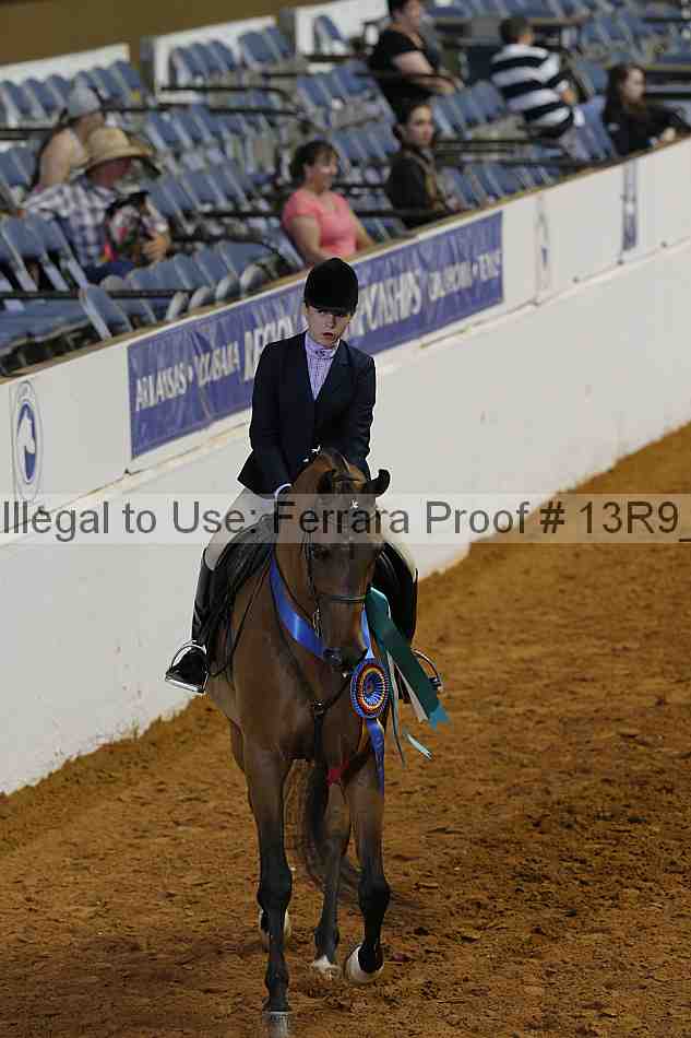 Proof 13r9_6309