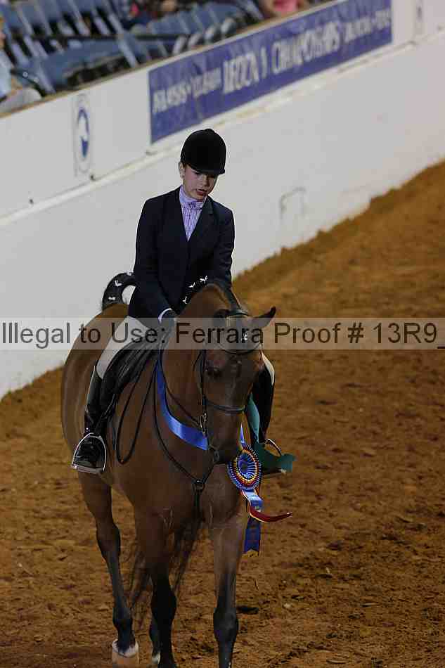 Proof 13r9_6310