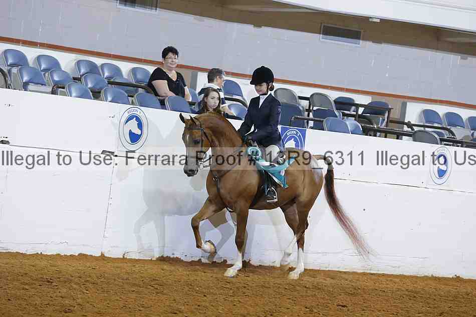 Proof 13r9_6311