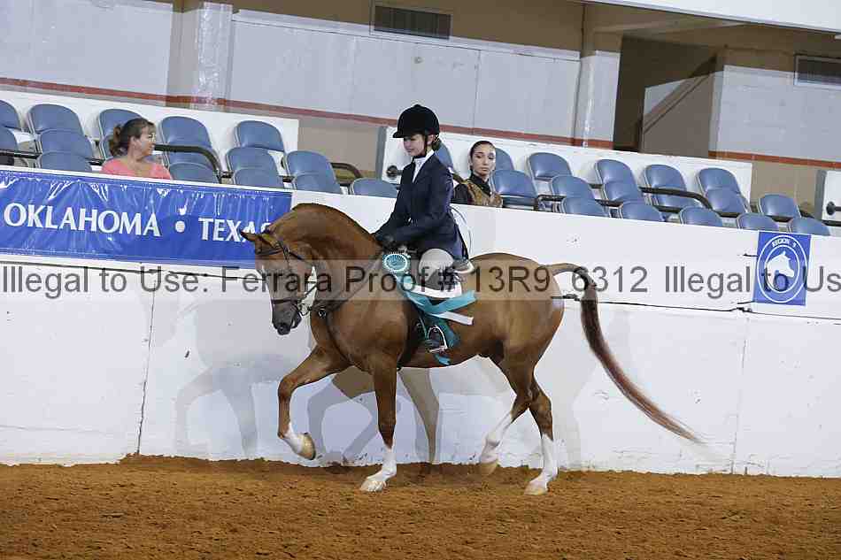 Proof 13r9_6312