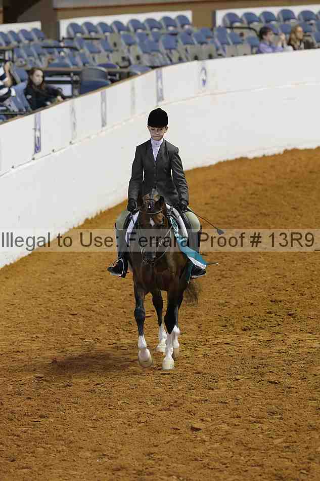 Proof 13r9_6316