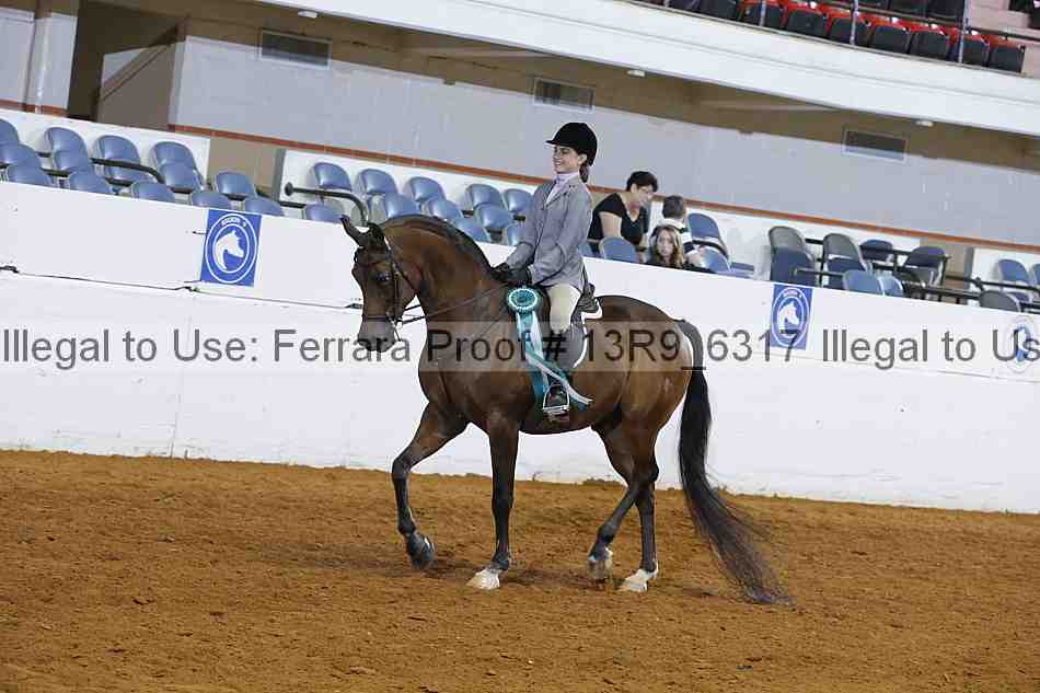 Proof 13r9_6317