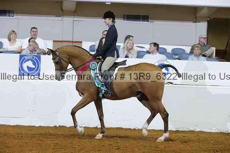 Proof 13r9_6322