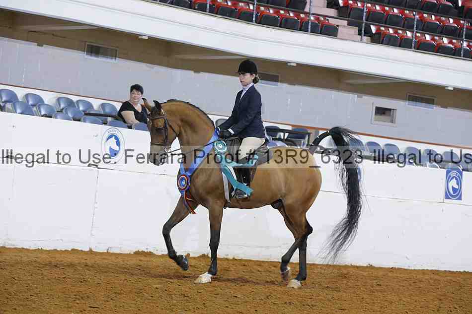 Proof 13r9_6323