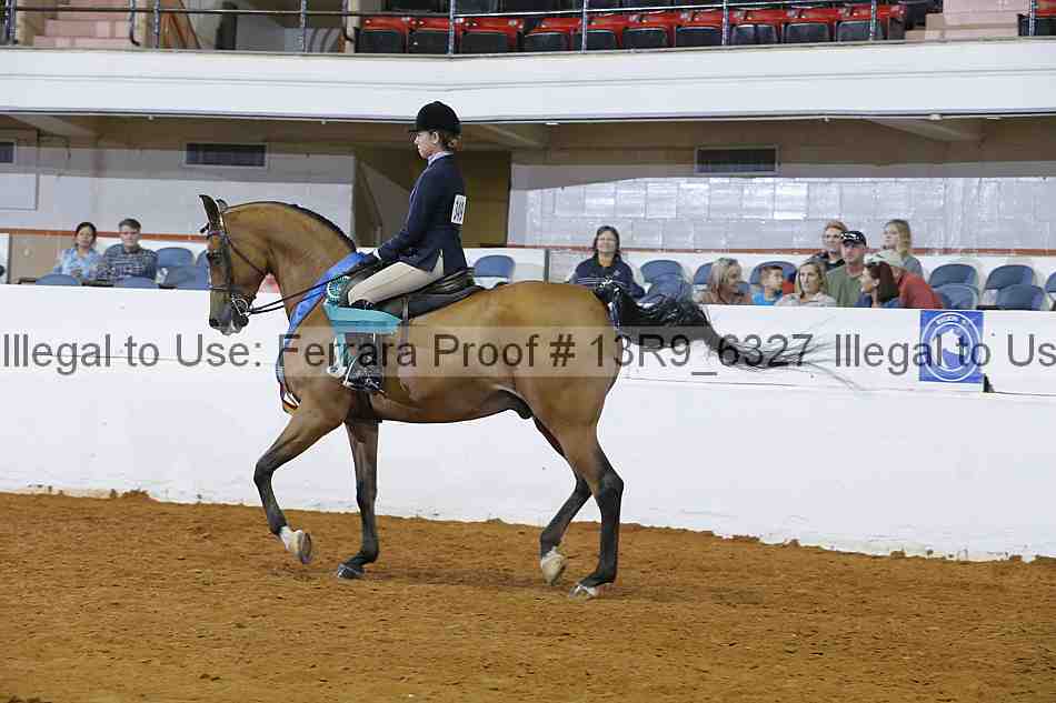 Proof 13r9_6327
