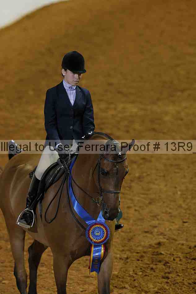 Proof 13r9_6329